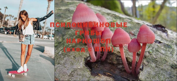 a pvp Приозерск