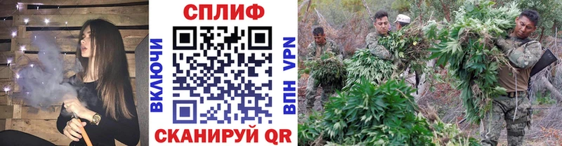 Бошки Шишки тримм Задонск